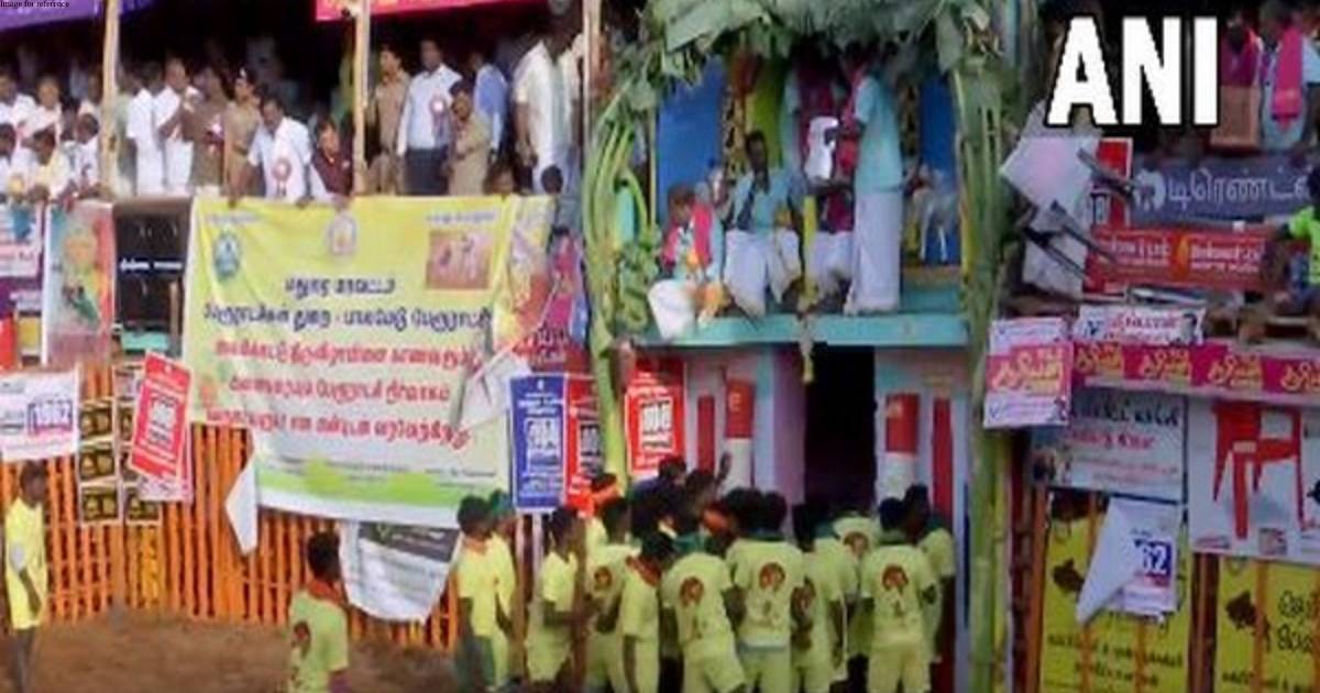 Tamil Nadu: 'Jallikattu' celebrations begin in Madurai's Palamedu